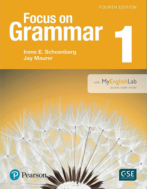 Focus on Grammar 1