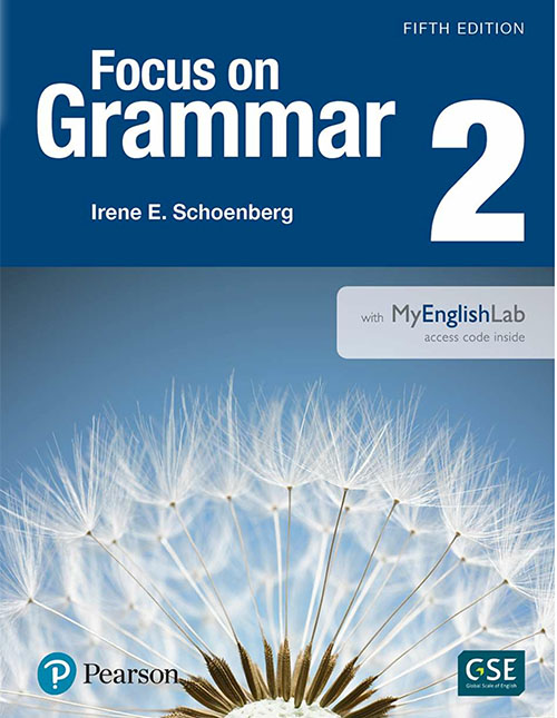 Focus on Grammar 2