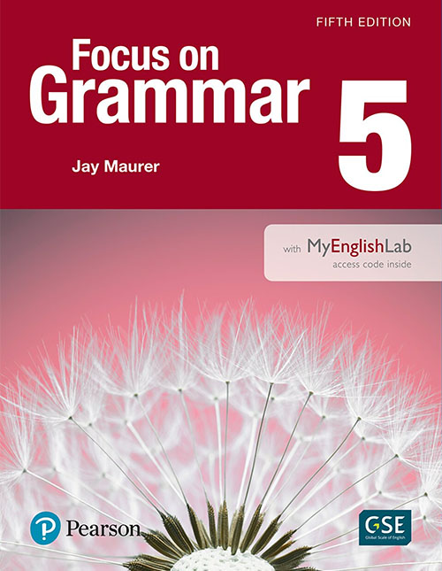 Focus on Grammar 5